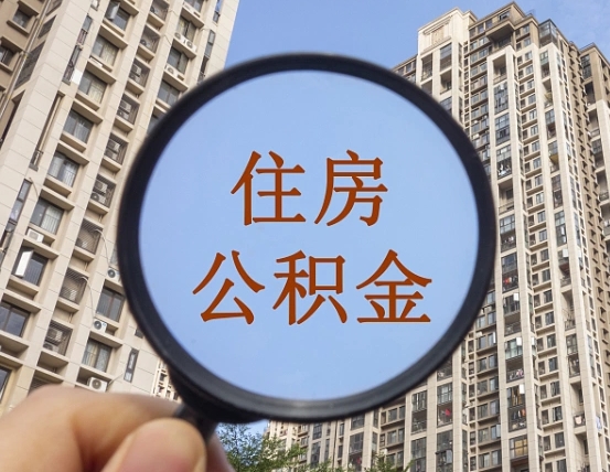 朔州退休后查不到公积金明细了吗（退休后公积金查询不到原因）